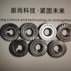 hexagon nuts with flange